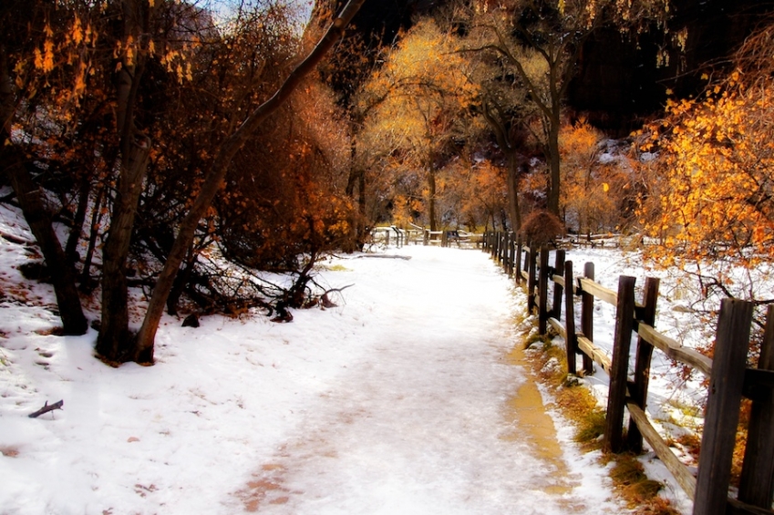 Taken at Zion National Park