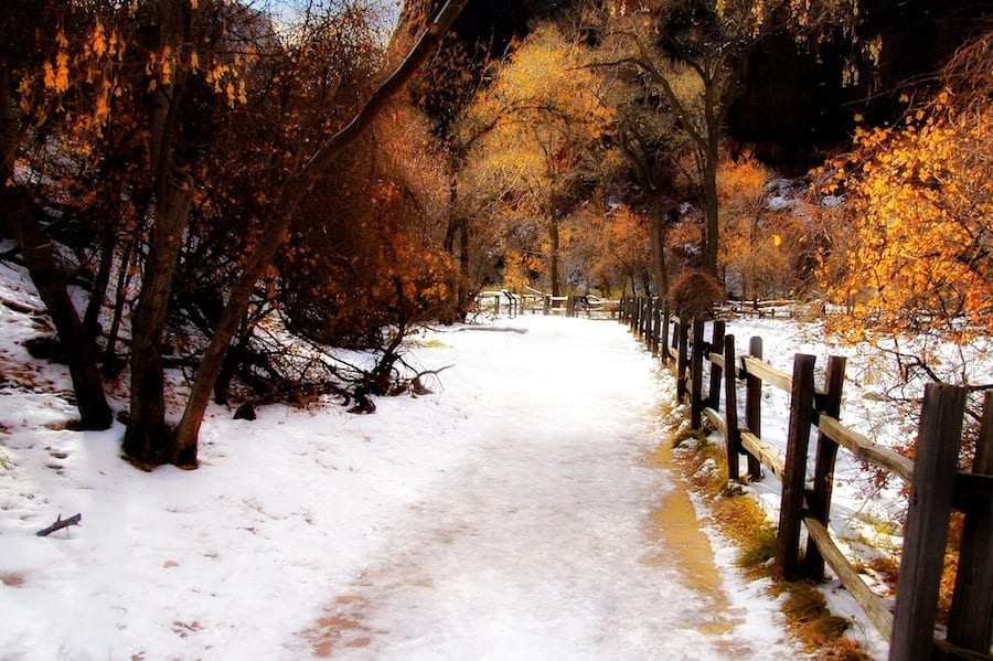 The Path to Zion Taken at Zion National Park