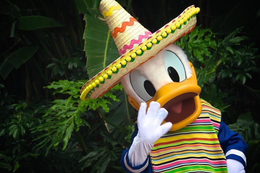 Cabellera Duck