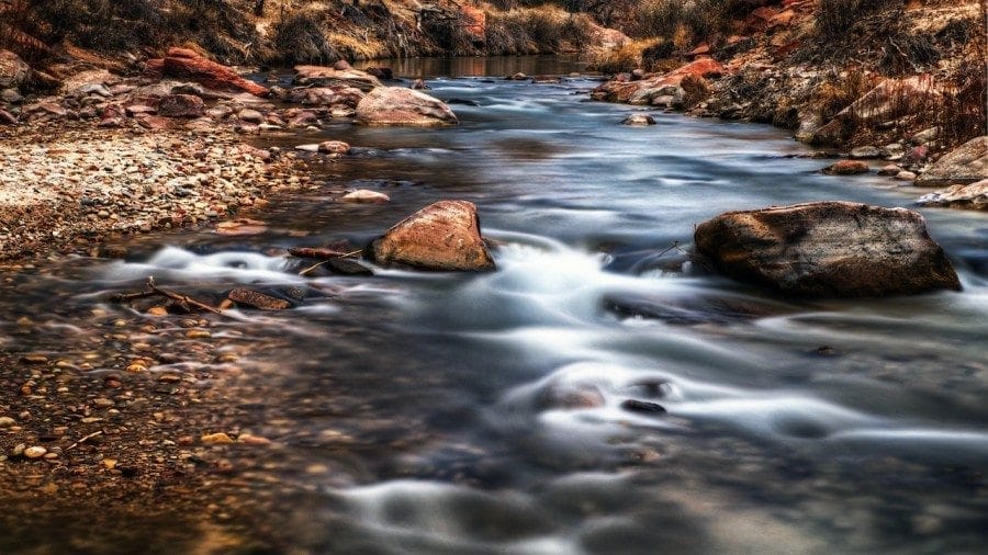 The Virgin River in Zion National Park