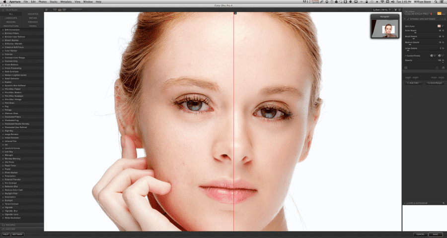 Dynamic Skin Softener Nik Software Review