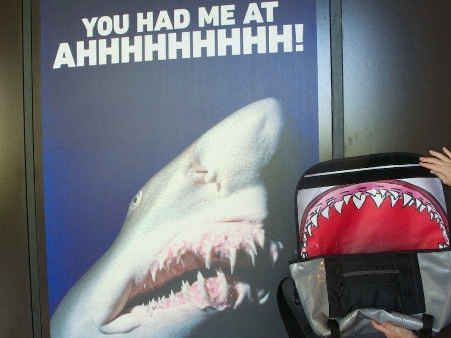 Shark Messenger