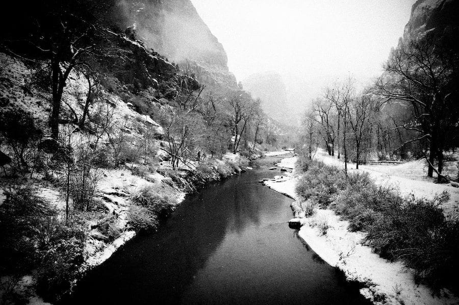 Winter Stream in Zion National Park