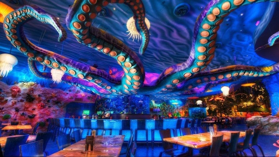Giant Octopus hovers over the bar in a restaurant