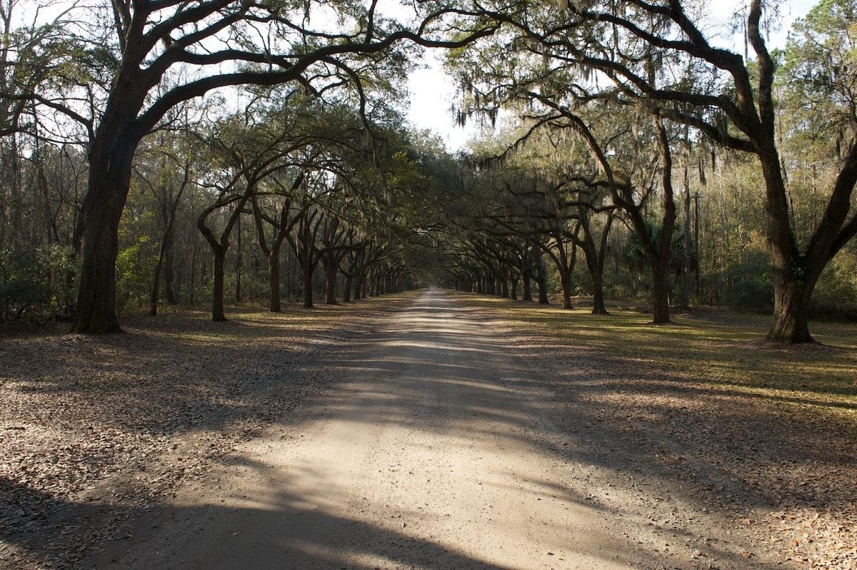 Wormsloe at 24mm