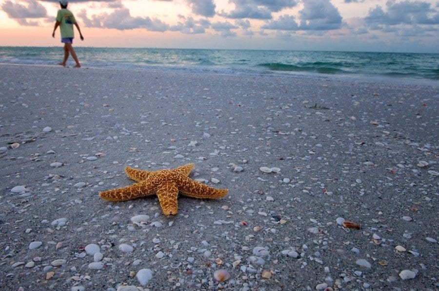 Sanibel Beach