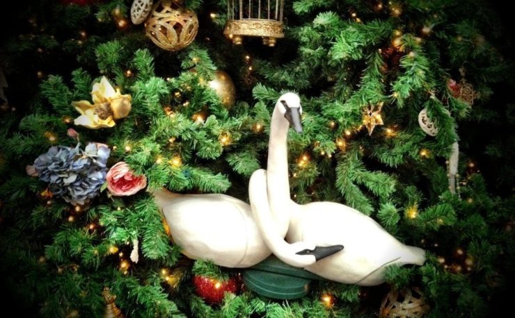 Christmas Swans at Disney Magic Kingdom