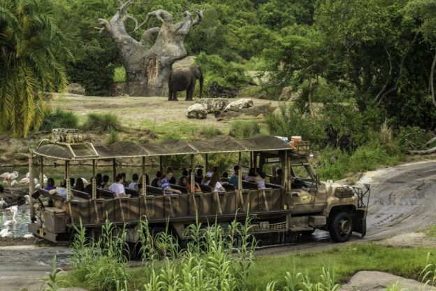 Disney Wild Africa Trek