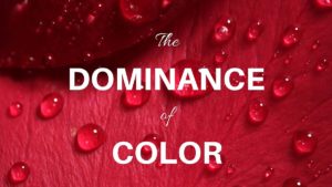 The Dominance of Color