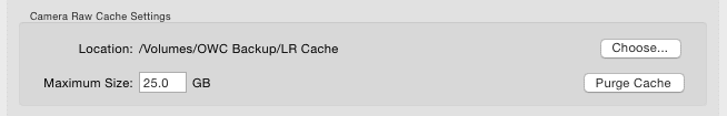 Lightroom CC Cache Size