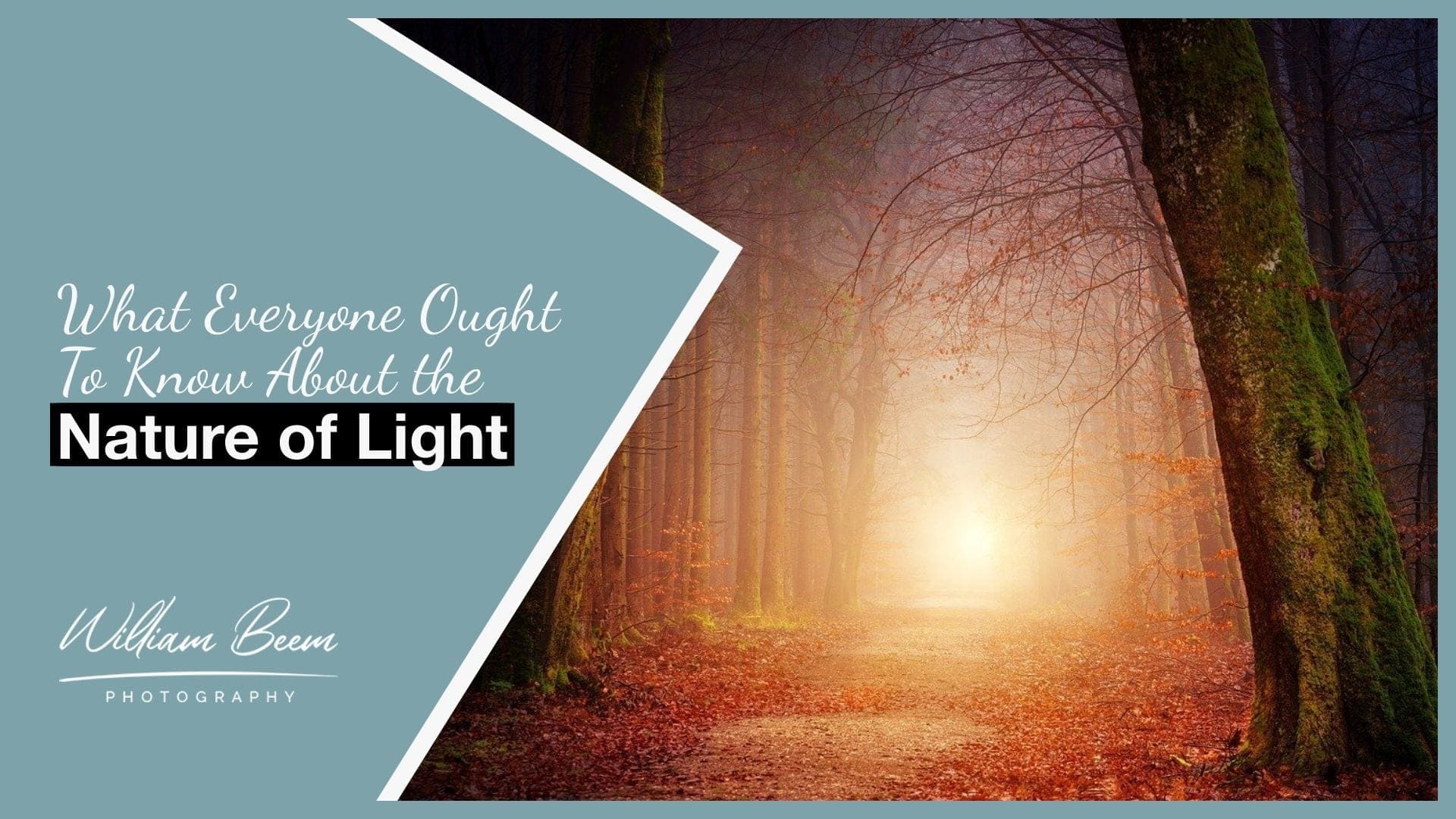 5 Elements in the Nature of Light You Need to Master