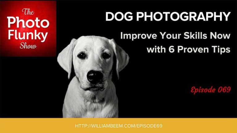 Improve Your Dog Photography Now With 6 Easy Tips