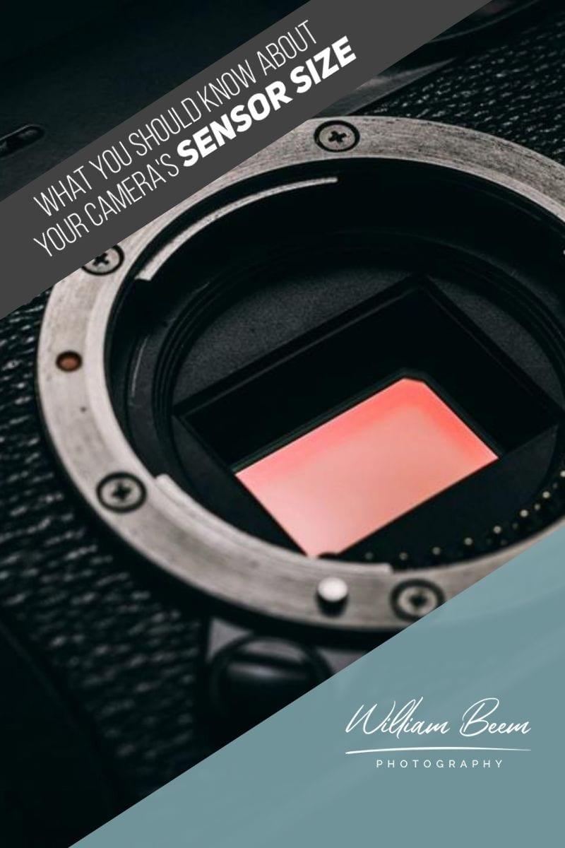 What You Should Know About Your Camera\'s Sensor Size