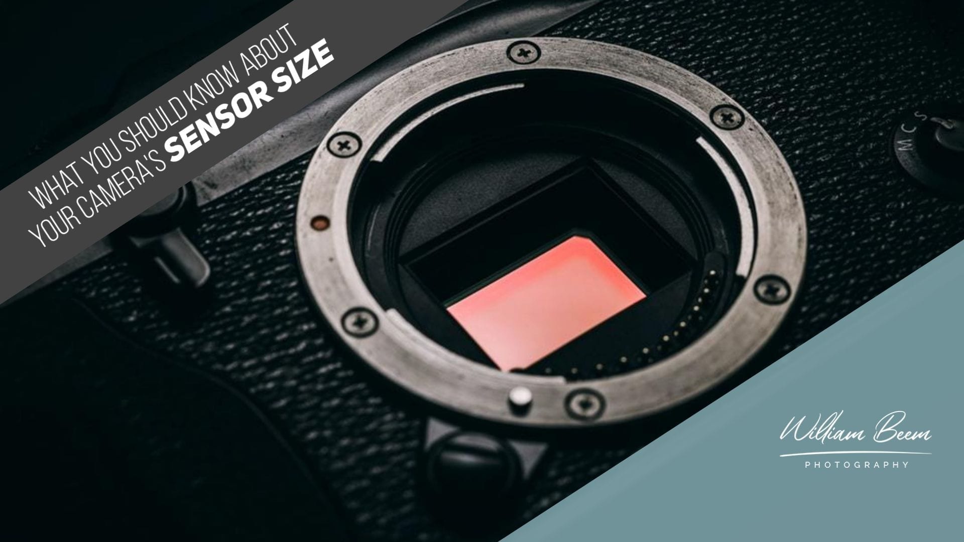 What You Should Know About Your Camera’s Sensor Size