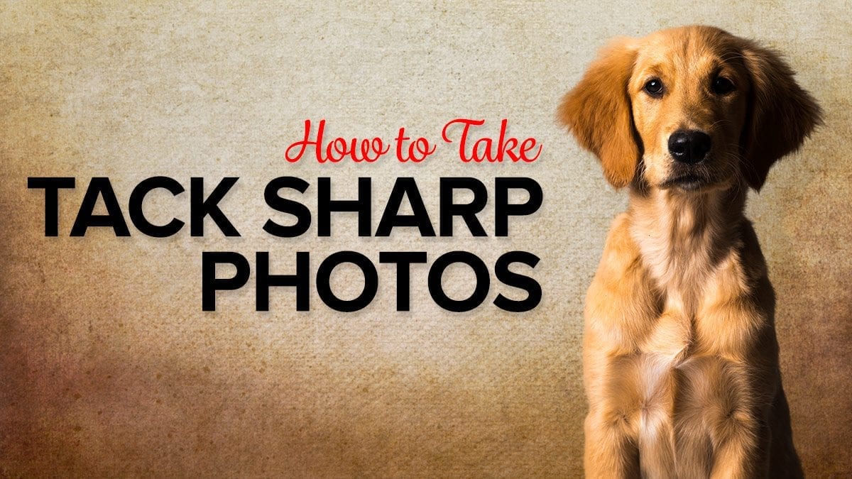 How to Take Tack Sharp Photos with Your DSLR