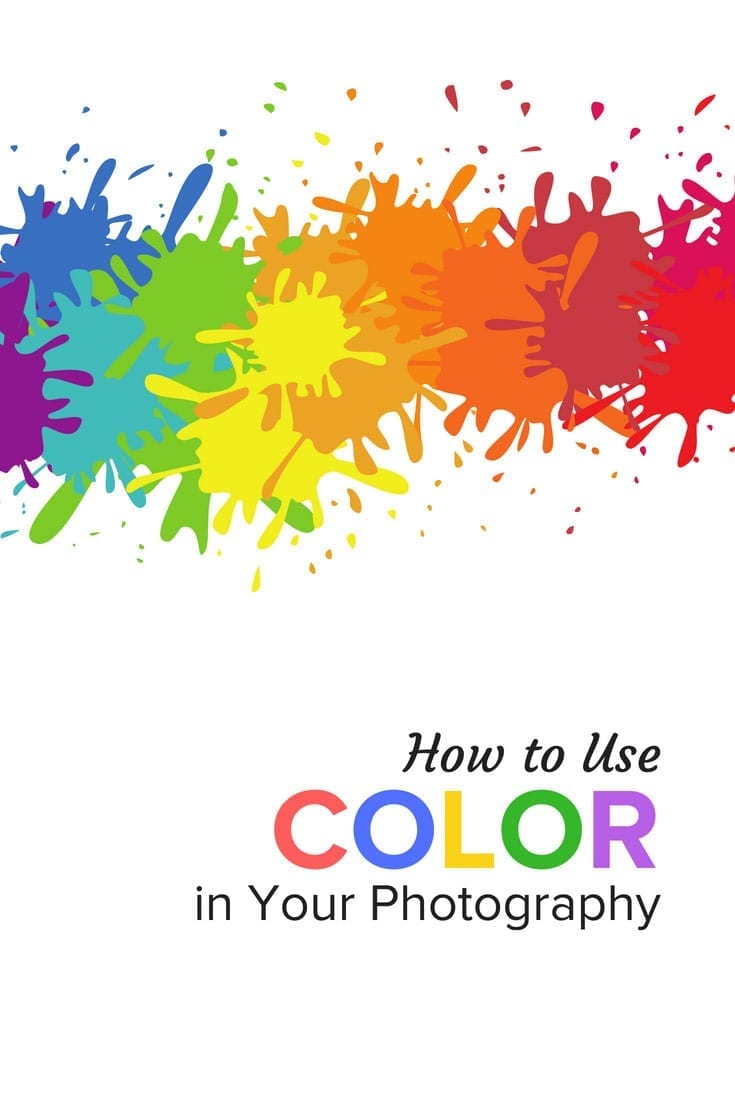 How to Use Color in Your Photography