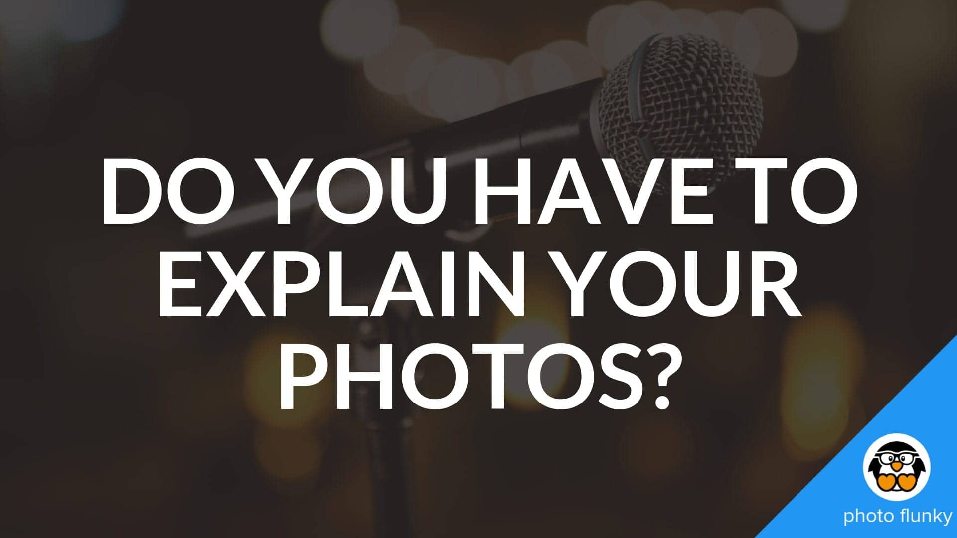 Do You Have to Explain Your Photos?